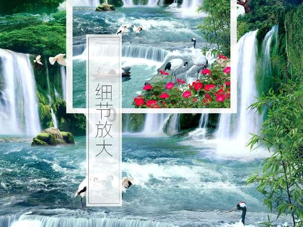 可爱猫咪救援